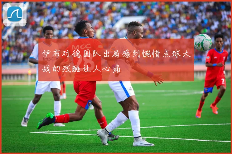 伊布对德国队出局感到惋惜点球大战的残酷让人心痛